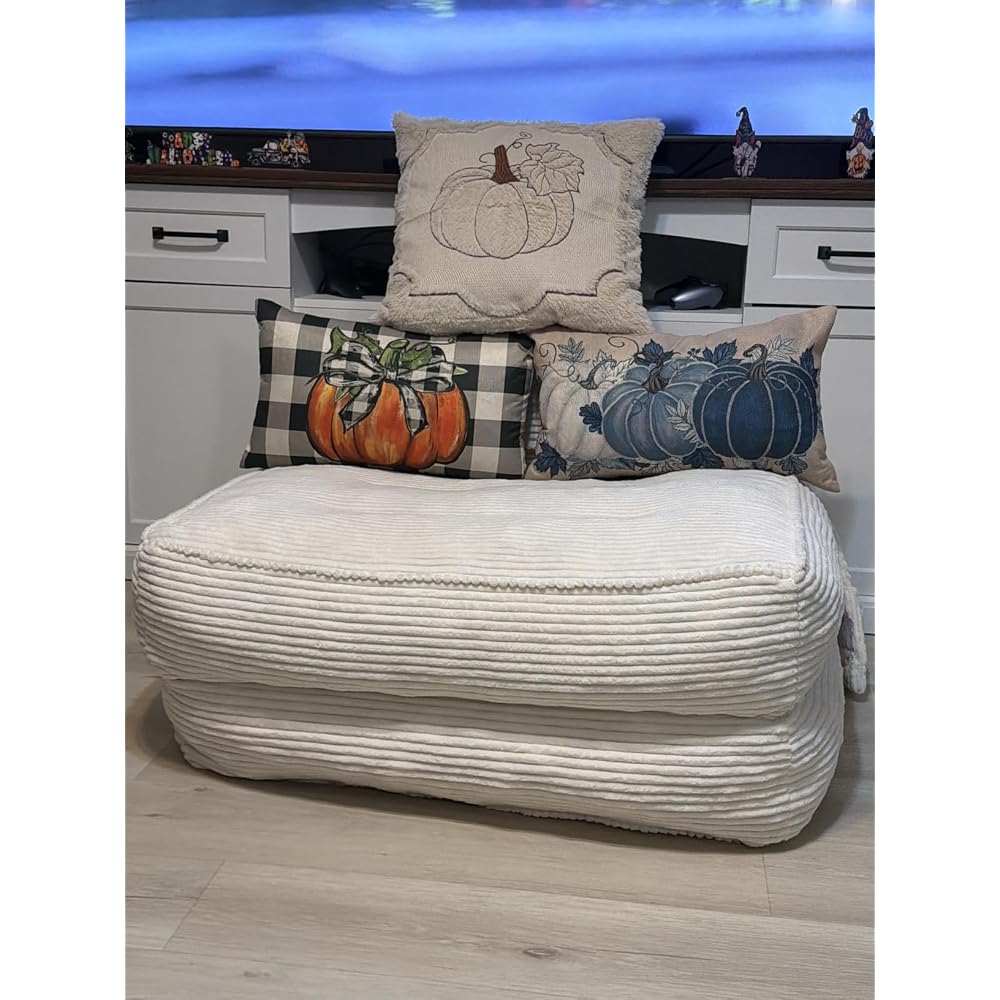 Folding Sofa Bed, Convertible Sleeper Chair with Pillow